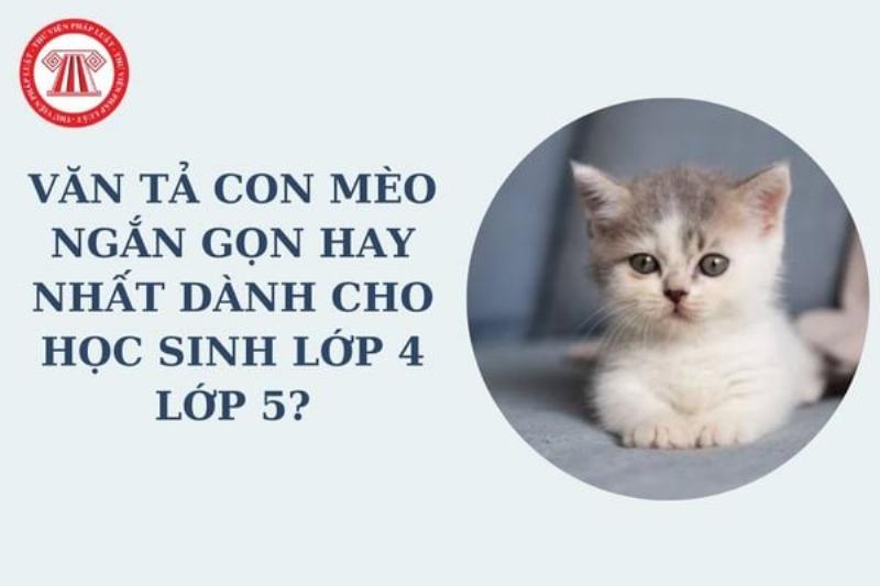 Hinh anh mot chu meo dang vui dua, voi vo mot cuon bong len mau sac, the hien su nhanh nhen va tinh nghich, minh hoa cho bai van ta con meo lop 5.